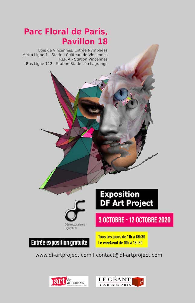 DF Art Project